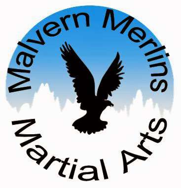 Malvern Merlins Childrens Martial Arts photo